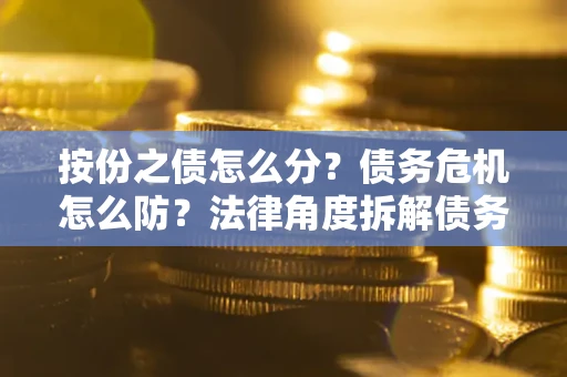 北京按份之债怎么分？债务危机怎么防？法律角度拆解债务分配与风险自保指南