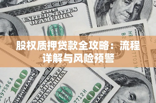 北京股权质押贷款全攻略：流程详解与风险预警