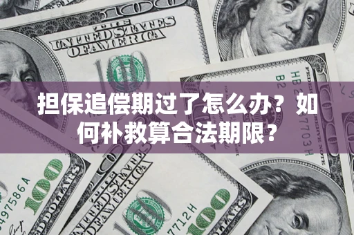 北京担保追偿期过了怎么办？如何补救算合法期限？