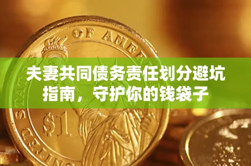 北京夫妻共同债务责任划分避坑指南，守护你的钱袋子