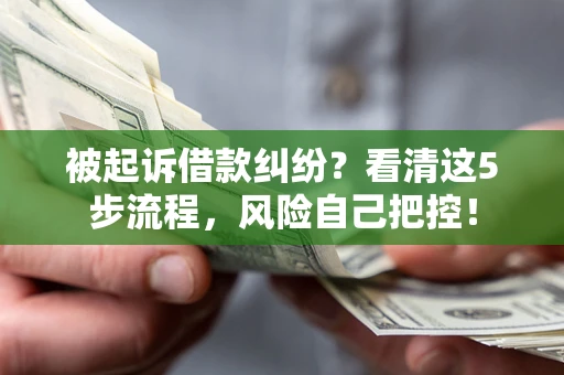 北京被起诉借款纠纷？看清这5步流程，风险自己把控！