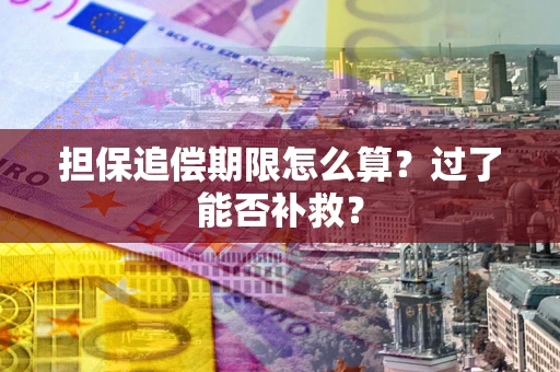 北京担保追偿期限怎么算？过了能否补救？